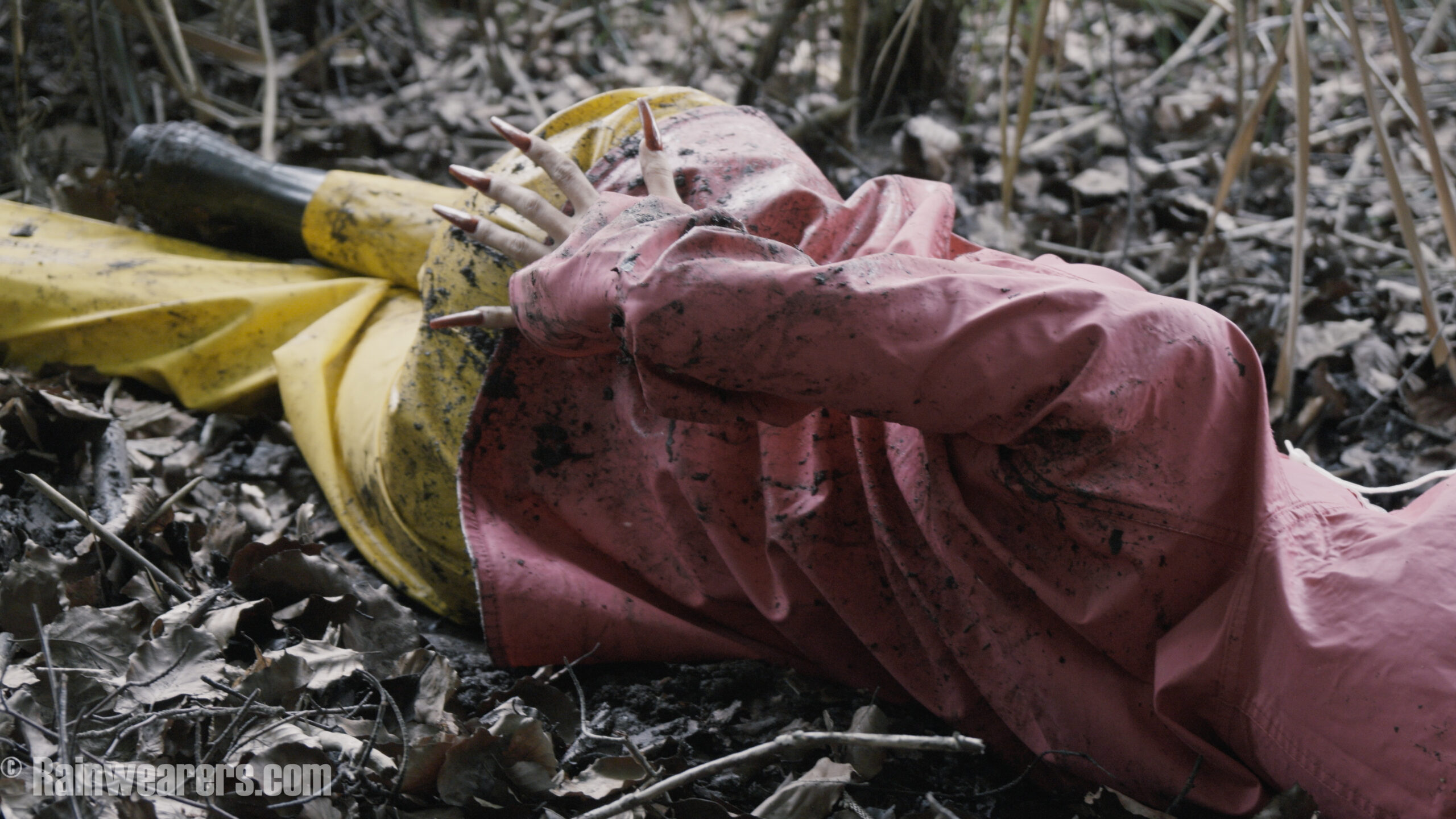 Correctly used – Pink Friesennerz