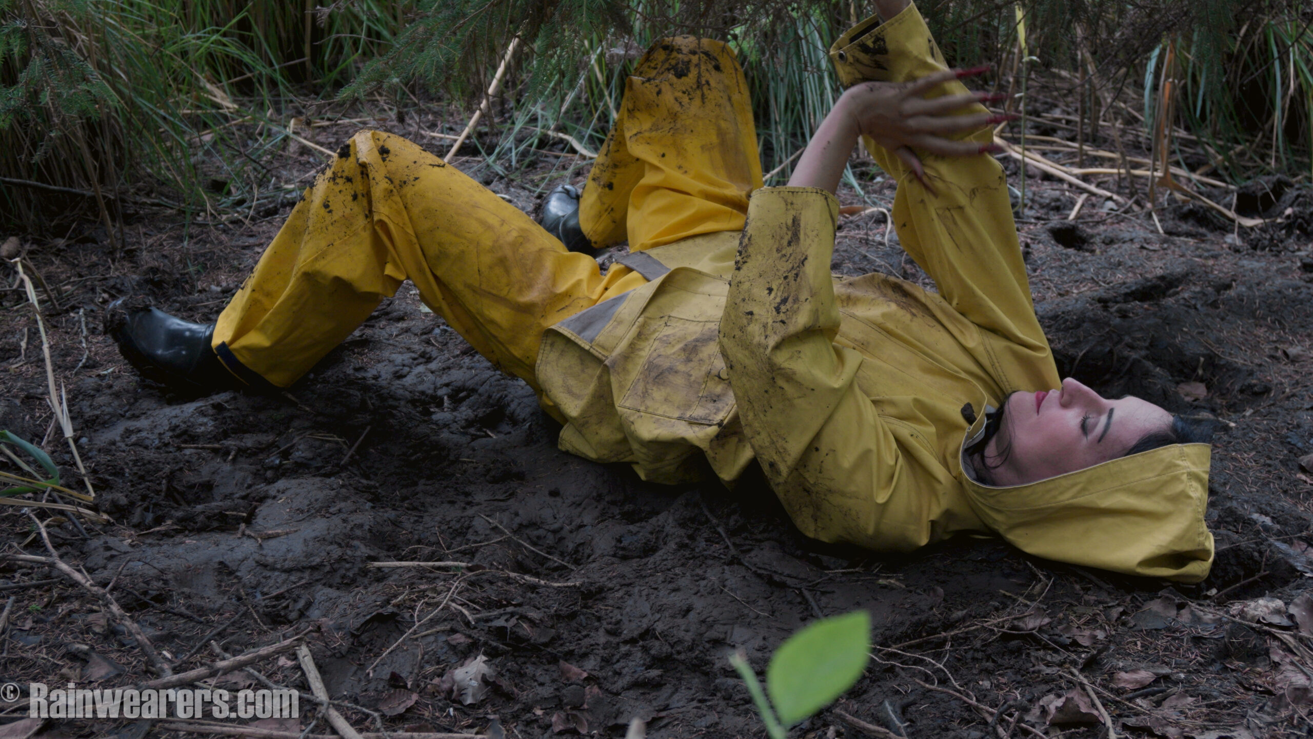 Correctly used – Friesennerz